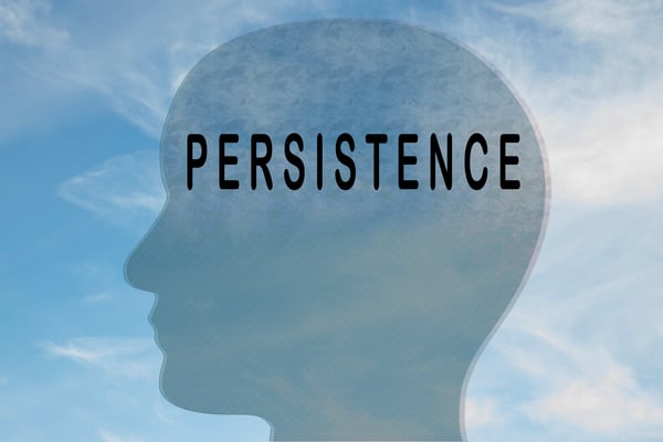 Persistence