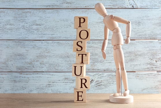 Posture